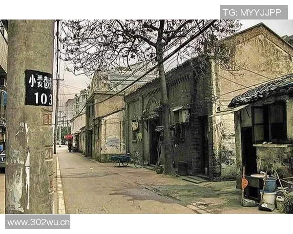 以名人堂为核心,探索体育文化与历史的交汇点及其对未来的深远影响